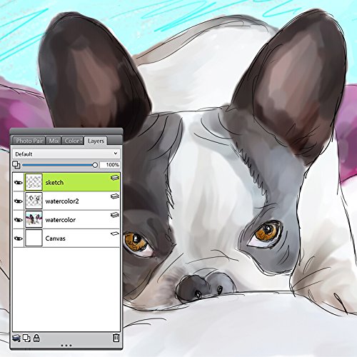 corel painter essential 5 not opening